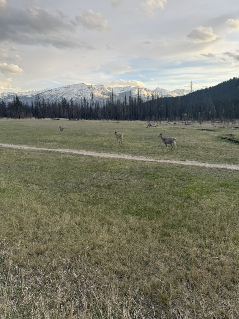 Canada