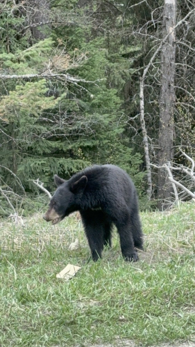 Canada