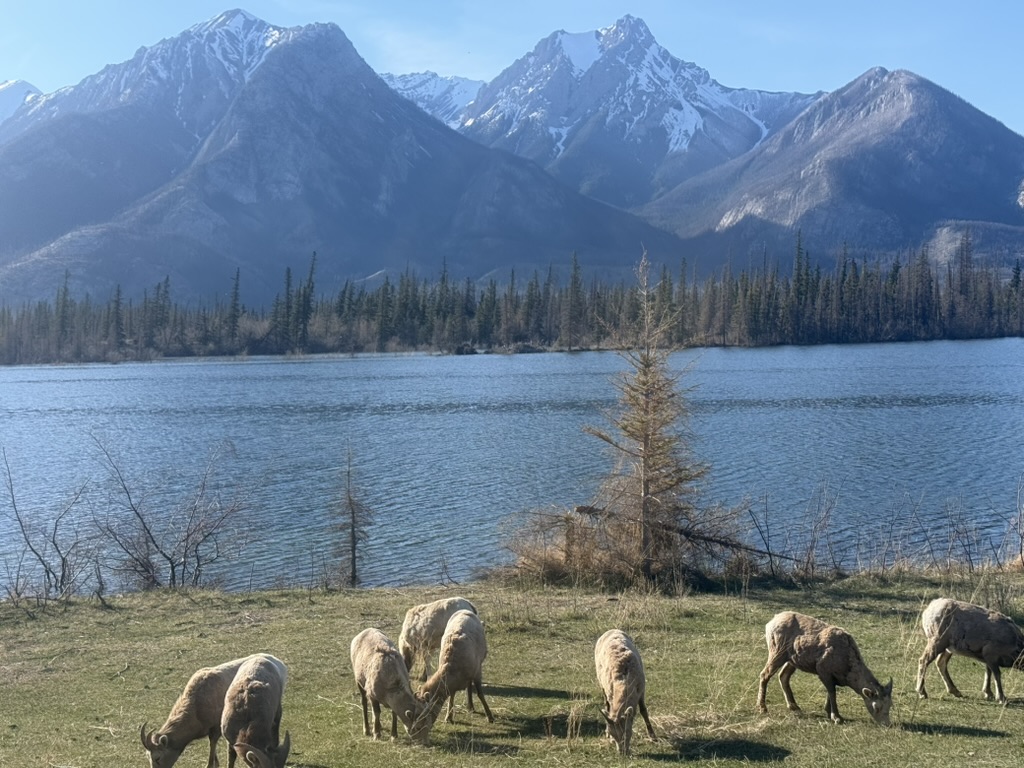 Canada