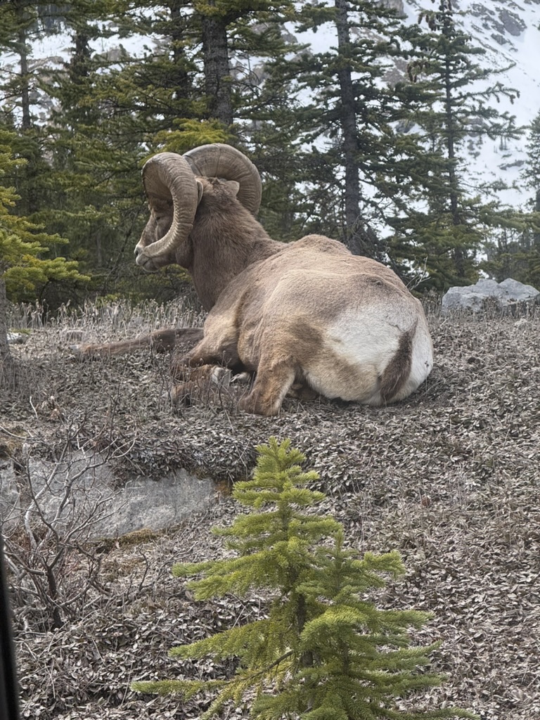 Canada