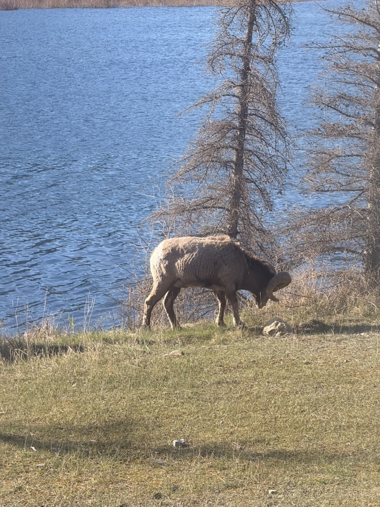 Canada