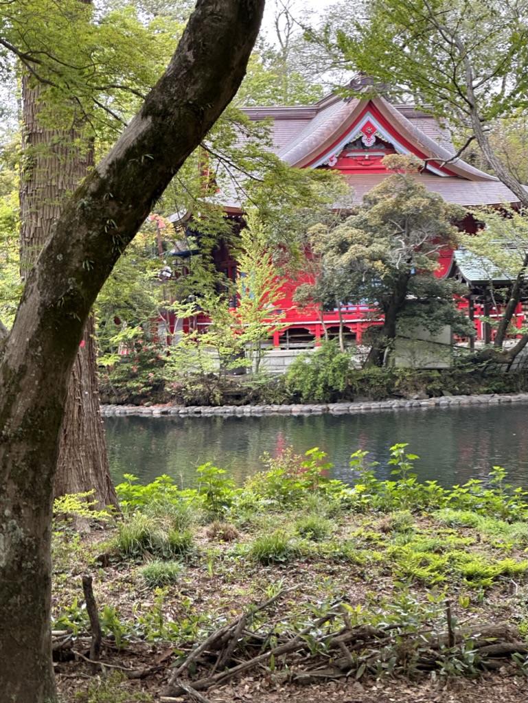 Near the Ghibli Museum
