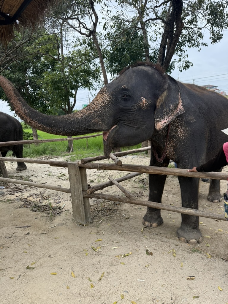 Thailand