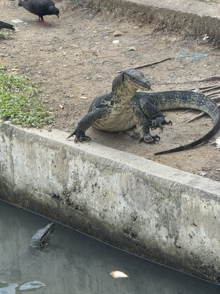 Thailand