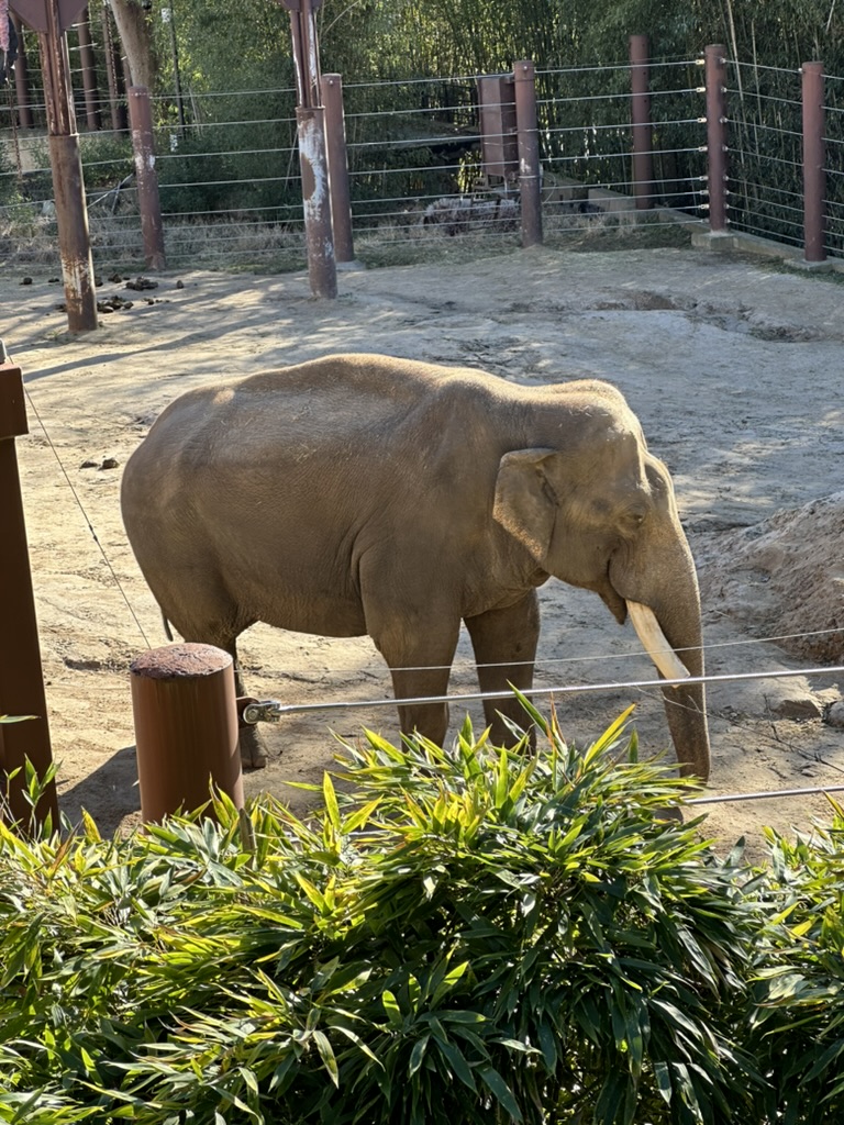 Zoo